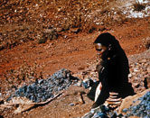 Image: working at a mine in the north-west Cape district of South Africa